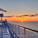 메디팜고려약국 이미지