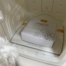 강아지 펫 드라이룸 추천 “페페 펫 드라이룸” 내돈내산