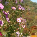 영월학산천마을