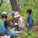 시립풍동숲속어린이집 이미지