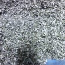 동혜농장 이미지