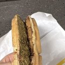 와플대학동탄목동캠퍼스
