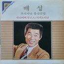 배성 오리지날 총결산집 [사나이의 부르스] (1983) 이미지