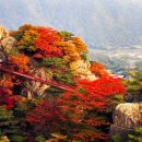 교대역  13번출구 뒤 2 이미지