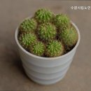 논산시립노인전문병원 | 추천 장안구 요양원 수원시립노인전문요양원 편안한 노후를 위한 선택