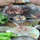 목마식당 Daum카페