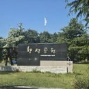 황성공원 시민운동장 | 경주 도심속 힐링장소 황성공원 도시바람길 숲 (주차장)