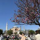 🇹🇷 터키 튀르키예르 이심 eSIM 로밍도깨비 7박10일 사용후기 (이벤트캐시 개꿀!)