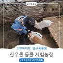 일산동물약국 | 일산 아이랑 가기좋은 동물원 추천, 찬우물 체험 동물농장 후기