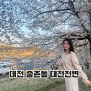 대전여행 가볼만한곳 벚꽃명소 대전천변 주차 가는길