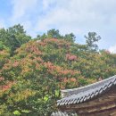 김면장군유적지 이미지