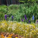 신진도조이 이미지