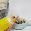 주식회사 리프패럿 이미지