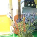 블랑비치 이미지