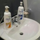 돔하우스 이미지