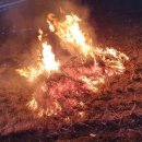 황강초등학교 이미지