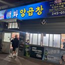 부산 남포동 양곱창 맛집 백화양곱창 5호 추천 가격 내돈내산 솔직후기