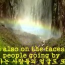 마우스 패밀리 네이버블로그