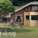연주스럽게 이미지