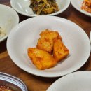 이달엔영월스테이 | 23.12.16-23.12.17 베스트 드라이버 뚜니와 제천부터 영월까지