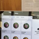 장안식당 | 광주근교 함평 육회비빔밥 맛집 장안식당 내돈내산 후기