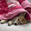 (주)조이앤드 이미지