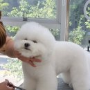 까꿍미용실 이미지