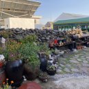 느영나영민박 이미지