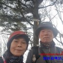 미력산 이미지