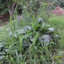 전통놀이 이미지