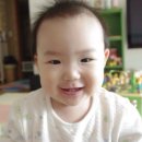 쥬니 이미지