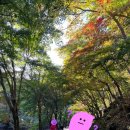 강천산군립공원(강천사) 이미지