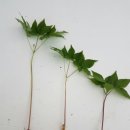 산골짜기농장 이미지