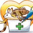 대경동물약품 이미지