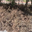 올바로환경 이미지