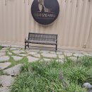 가을음악회-그때 그 시절 가요한마당 | 설레임 그대로..,"조용필, 이 순간을 영원히" 시청후기