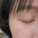 생장 | [후기] 일산속눈썹 생장케어 리바이브7 눈가 스파케어 후기 &#39;하니뷰 일산점&#39;