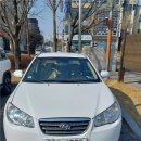 오토드림 | 더드림오토 중고차매입, 투명함에 믿음이 갔던 후기