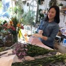 리틀 플라워 이미지