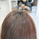 화목헤어 | 담은헤어 화목 염색데이 이벤트 뿌리염색 후기 자연스러운 컬러 완성