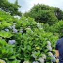 황소당구장 이미지