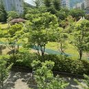 성주부동산공인중개사사무소 이미지