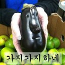 이오스