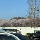 논현로5길 11 이미지