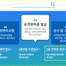 고수의운전면허제주
