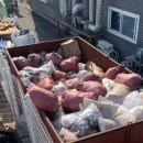 일성산업자원 이미지