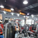 파워라인댄스 이미지