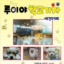 루이야 학교가자 이미지