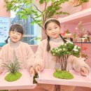 마이트리 이미지