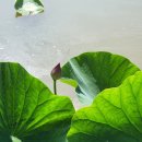 덕고개농장 이미지